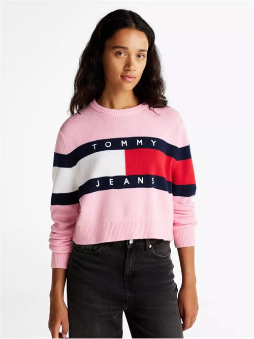 TJW CENTER FLAG SWEA TOMMY JEANS | DW0DW19335/TPF